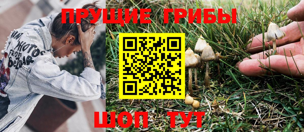 Галлюциногенные грибы MAGIC MUSHROOMS Новозыбков