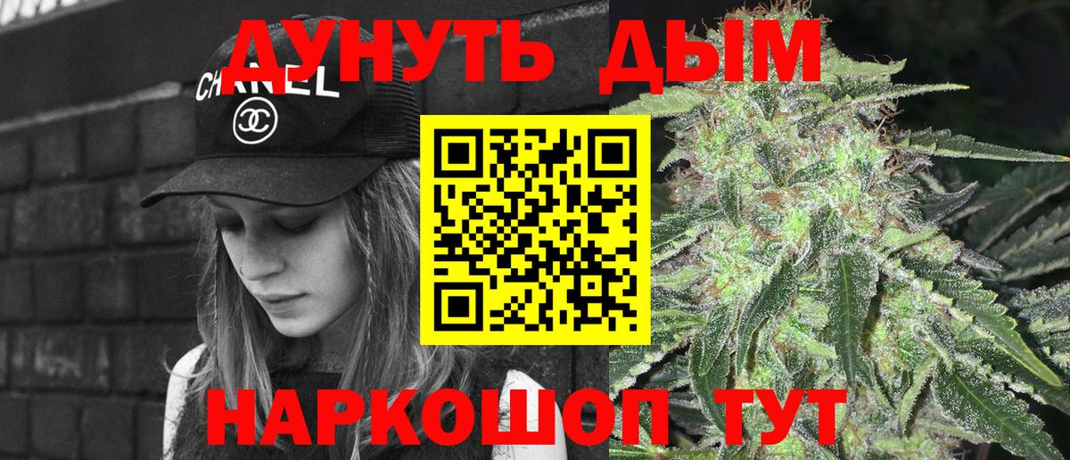 Каннабис конопля Новозыбков